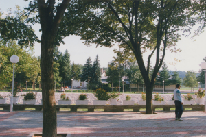gambanja (3)