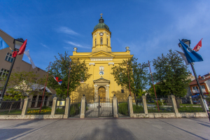 negotin-04
