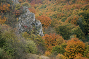 vrata