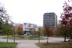 opstina-bor