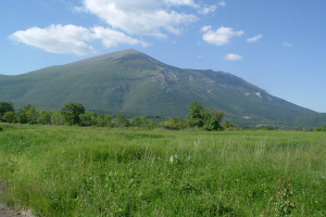 boljevac-03