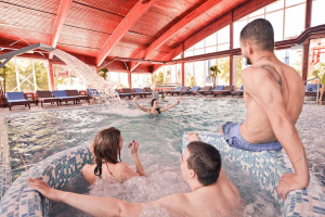 soko terme