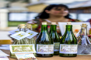 medjunarodni_sajam_meda_i_vina_02