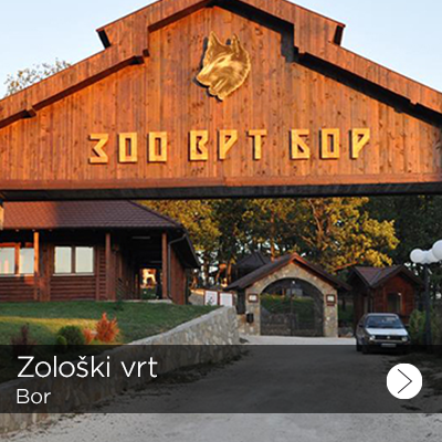 zoloski vrt 1