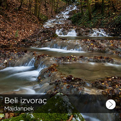 beli izvorac 1